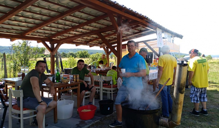 Kultúrne leto - Festival hudby, piesní a tancov